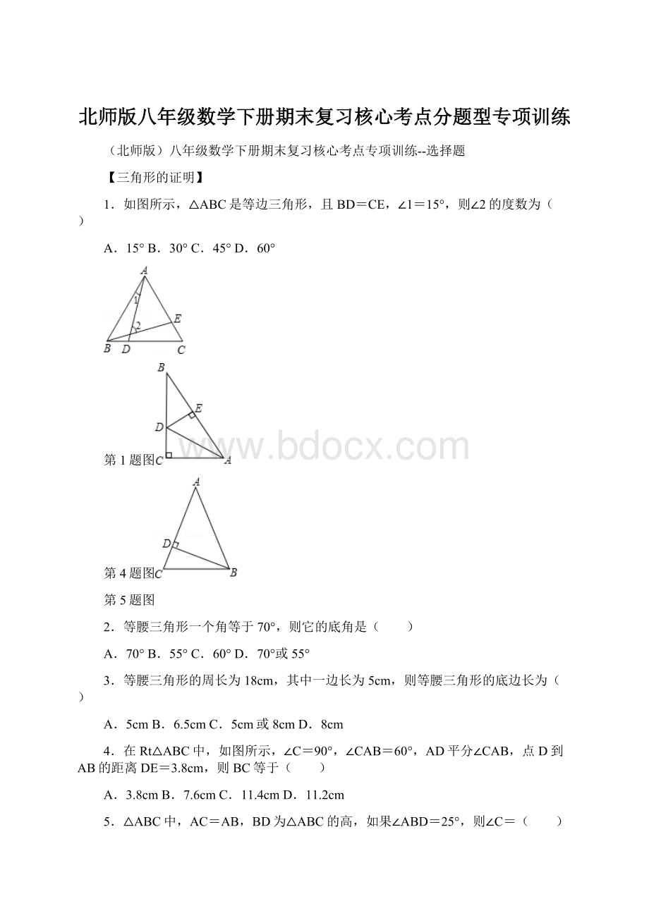 北师版八年级数学下册期末复习核心考点分题型专项训练Word下载.docx_第1页