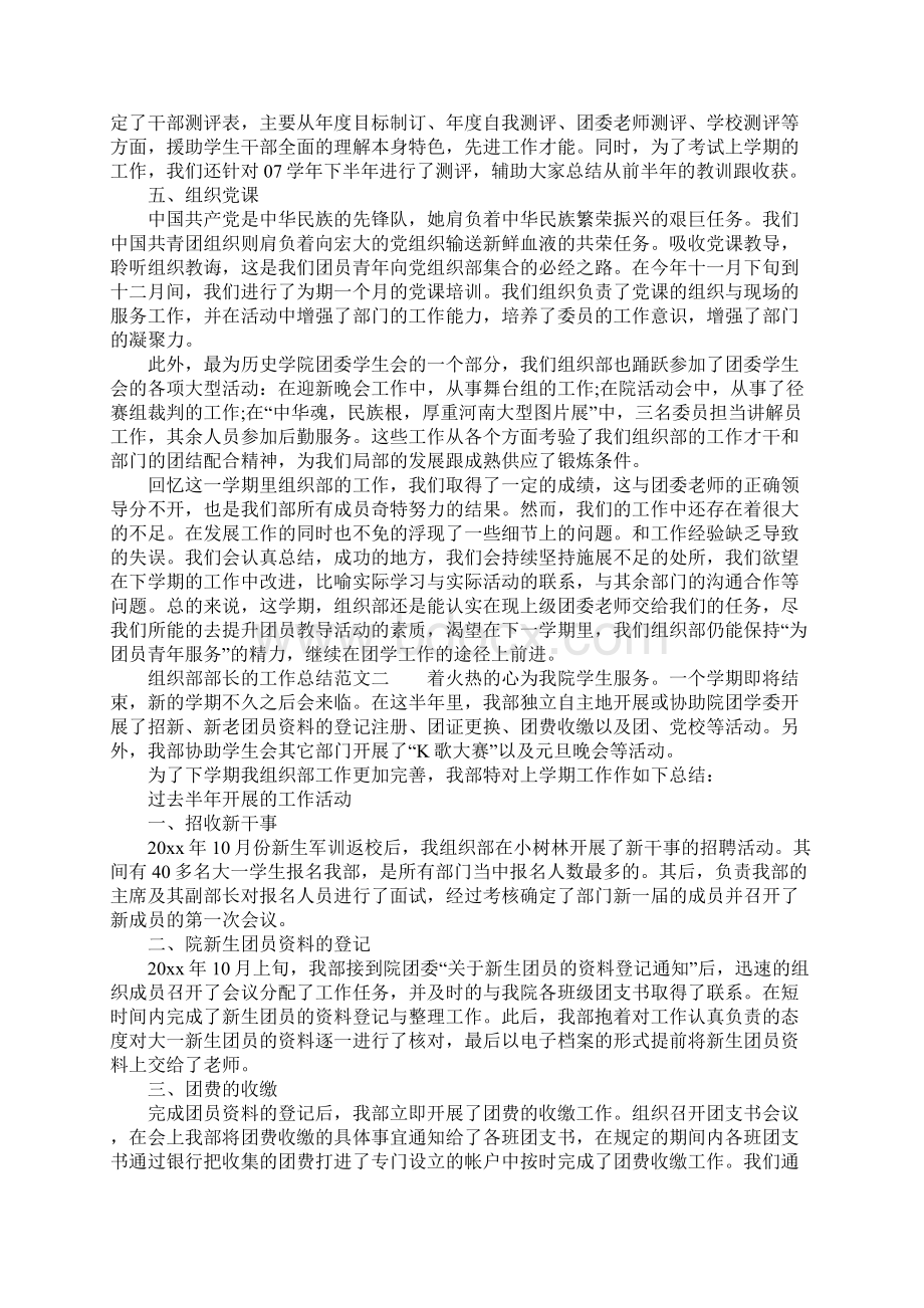 XX年组织部部长的工作总结Word文档格式.docx_第2页