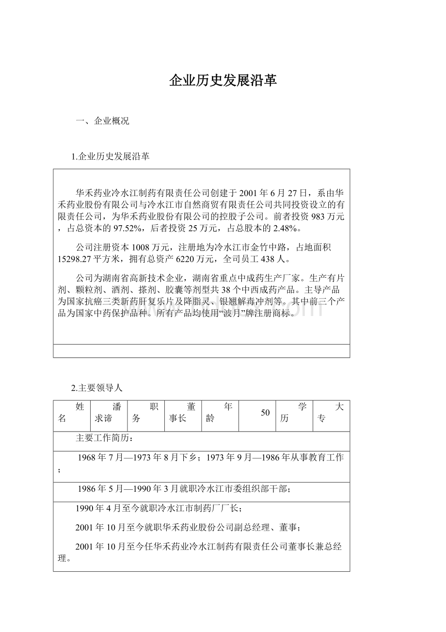 企业历史发展沿革Word文档格式.docx