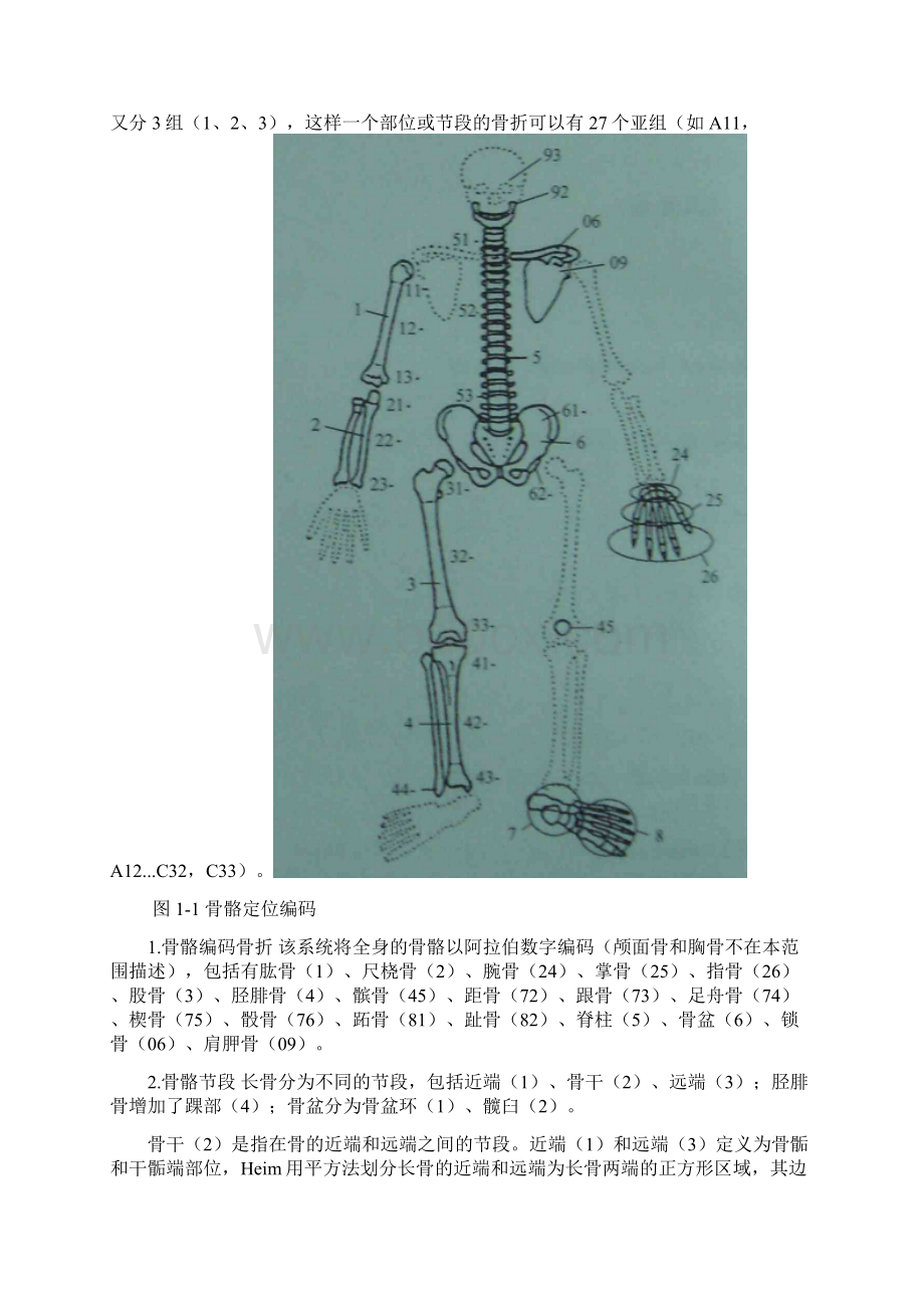 骨折的分型.docx_第2页