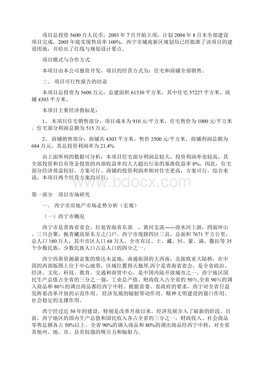 新西部城项目全程策划.docx_第3页