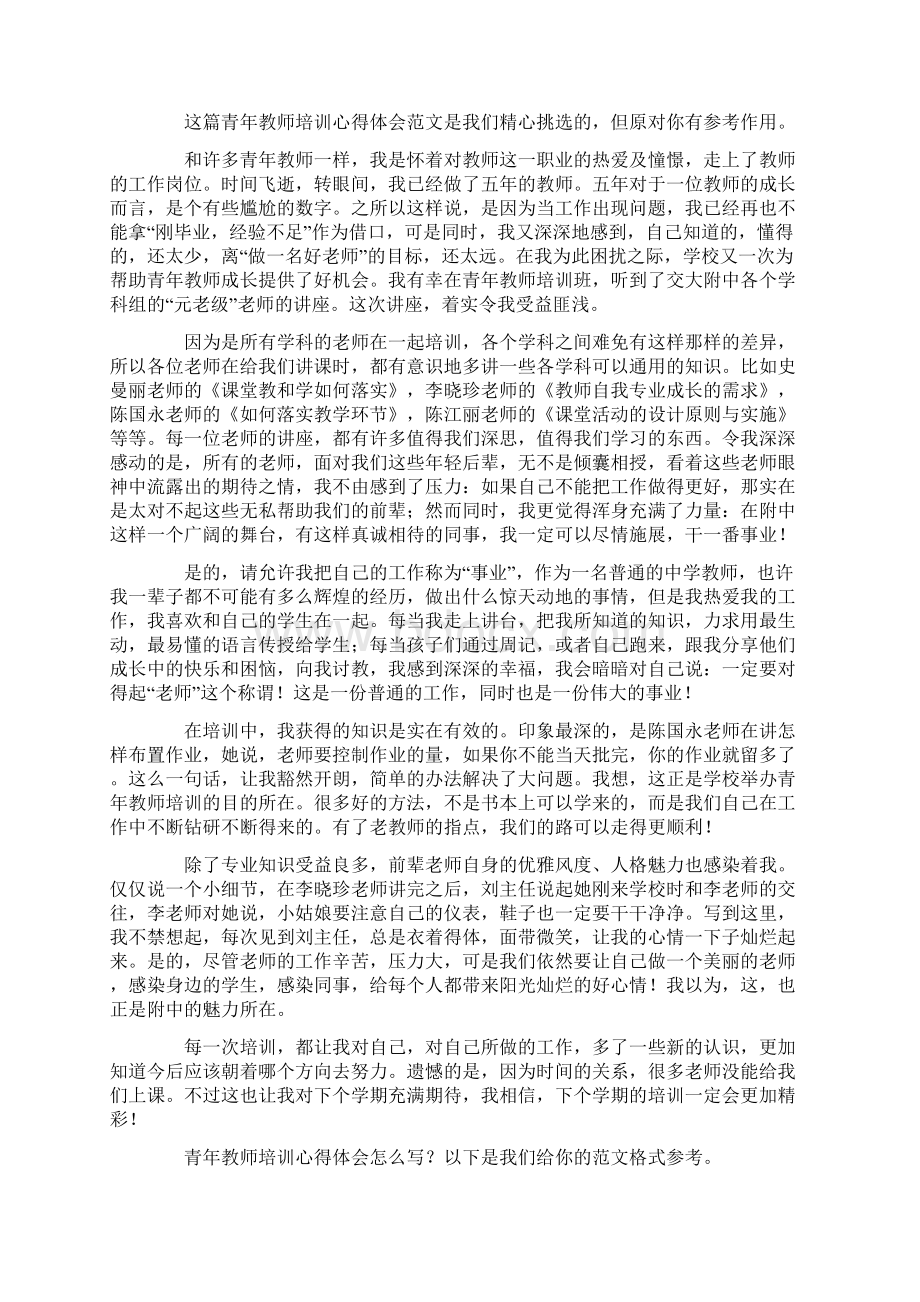 最新青年教师培训心得体会共5篇.docx_第3页