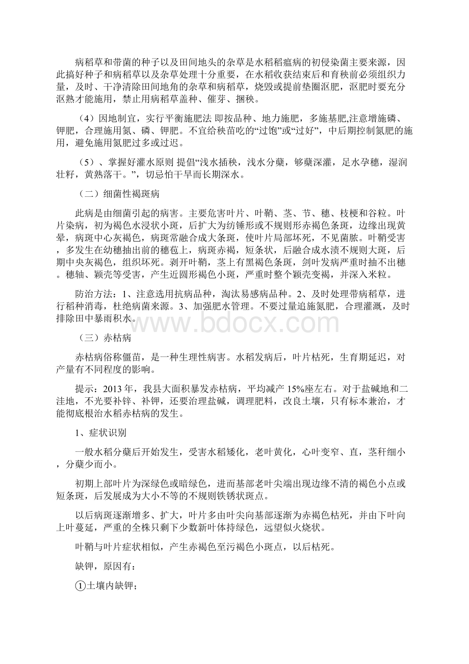 优质水稻高产栽培技术.docx_第3页