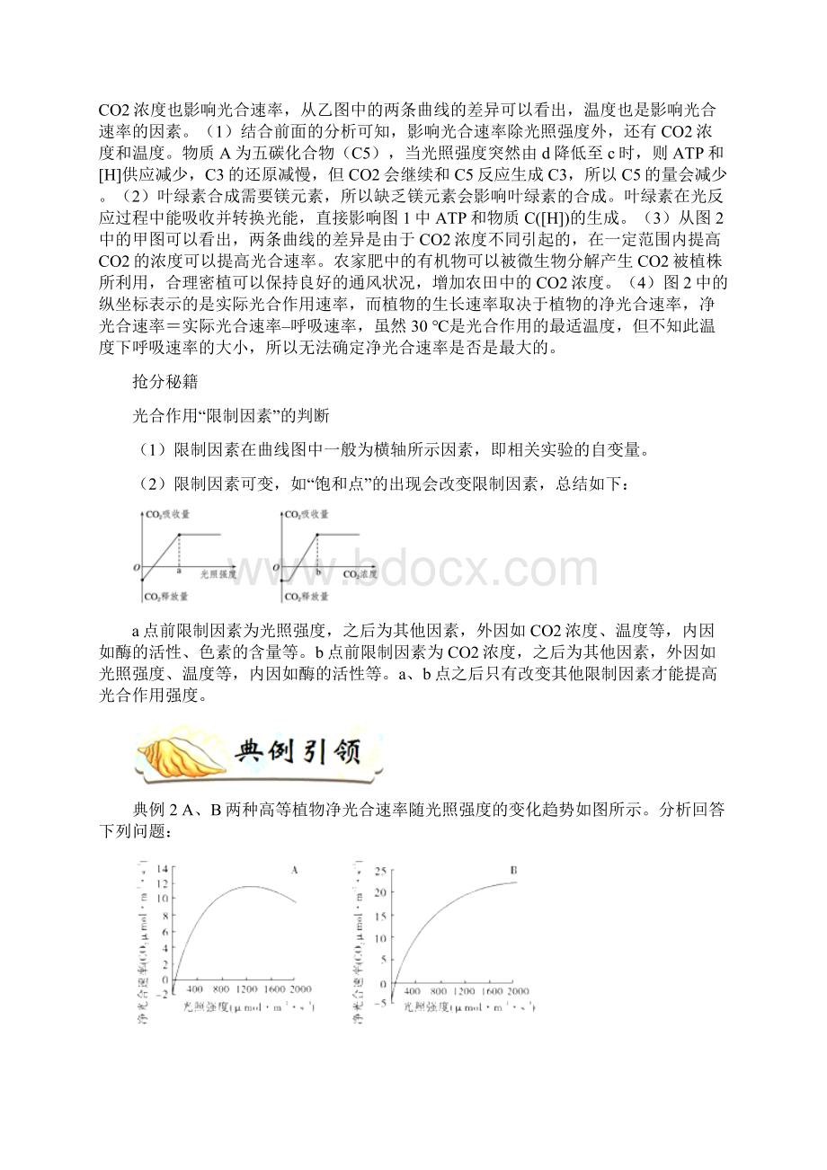 备战高考生物抢分秘籍01细胞呼吸和光合作用.docx_第2页