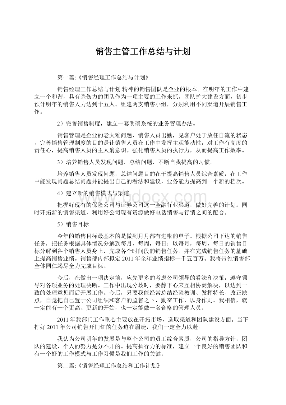 销售主管工作总结与计划Word文件下载.docx_第1页