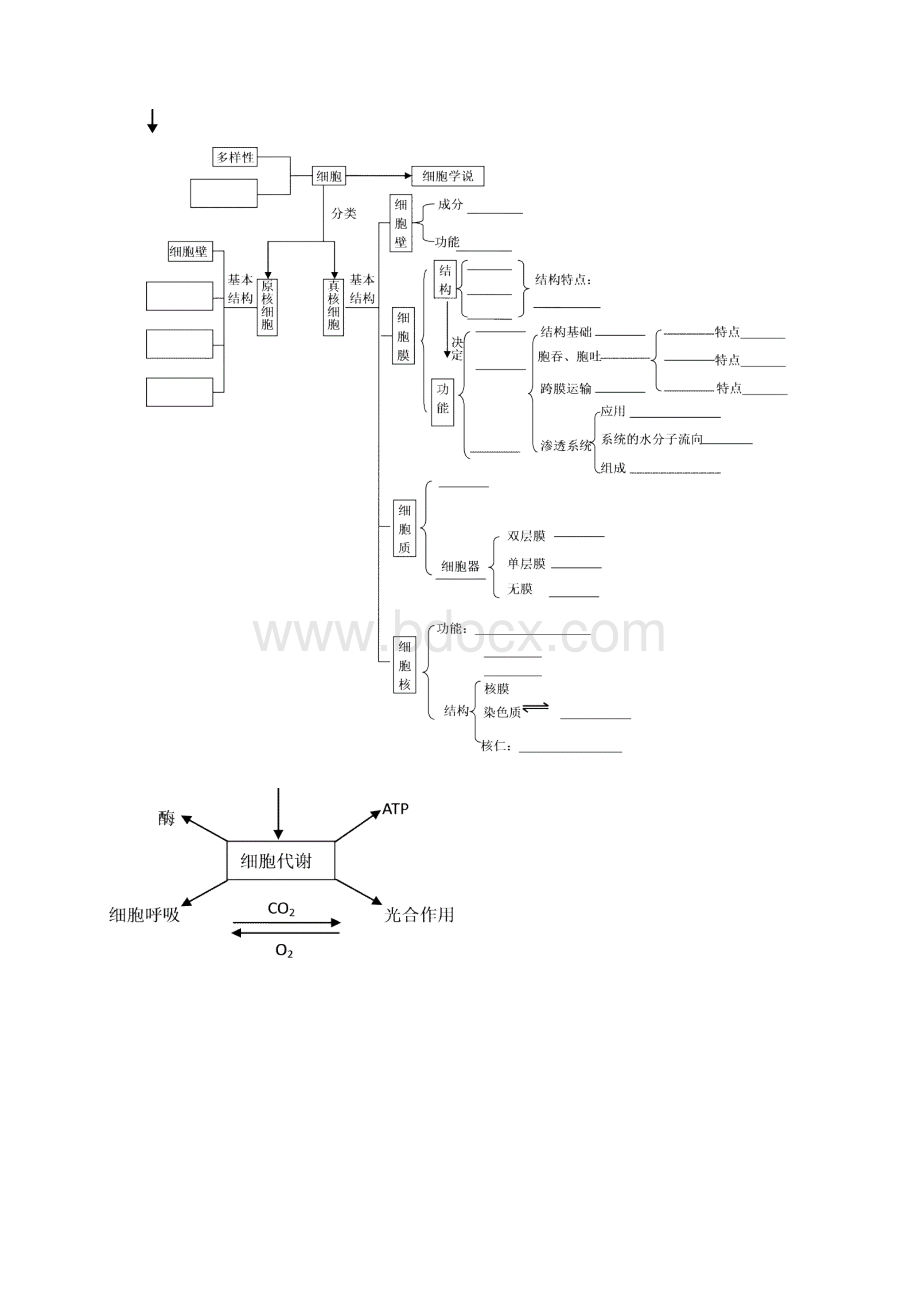 届高考生物二轮专题复习讲义专题一 细胞及代谢.docx_第2页