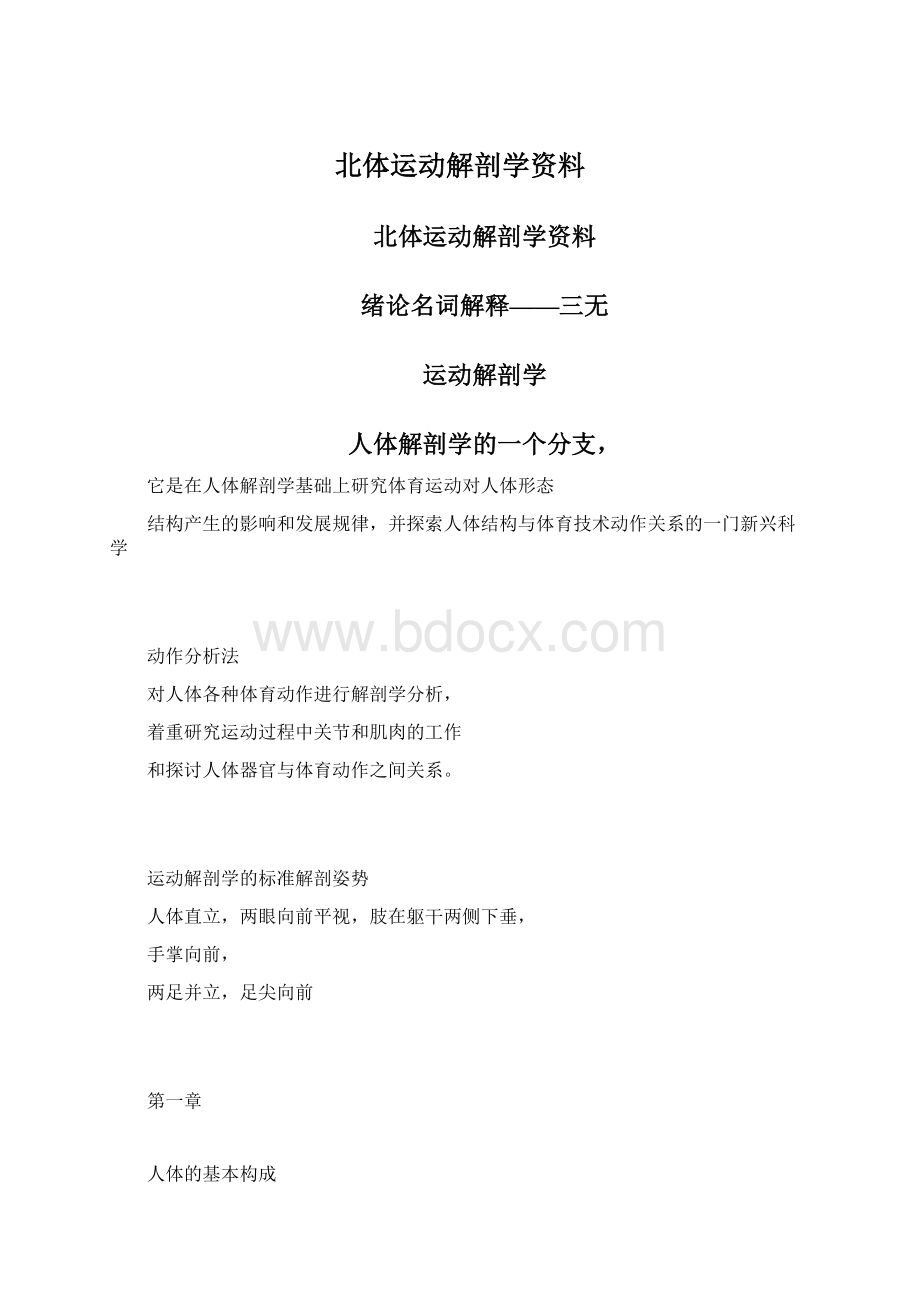 北体运动解剖学资料Word下载.docx_第1页