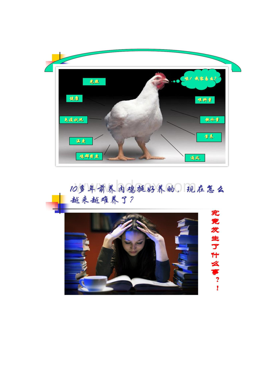 标准化肉鸡场饲养管理.docx_第3页