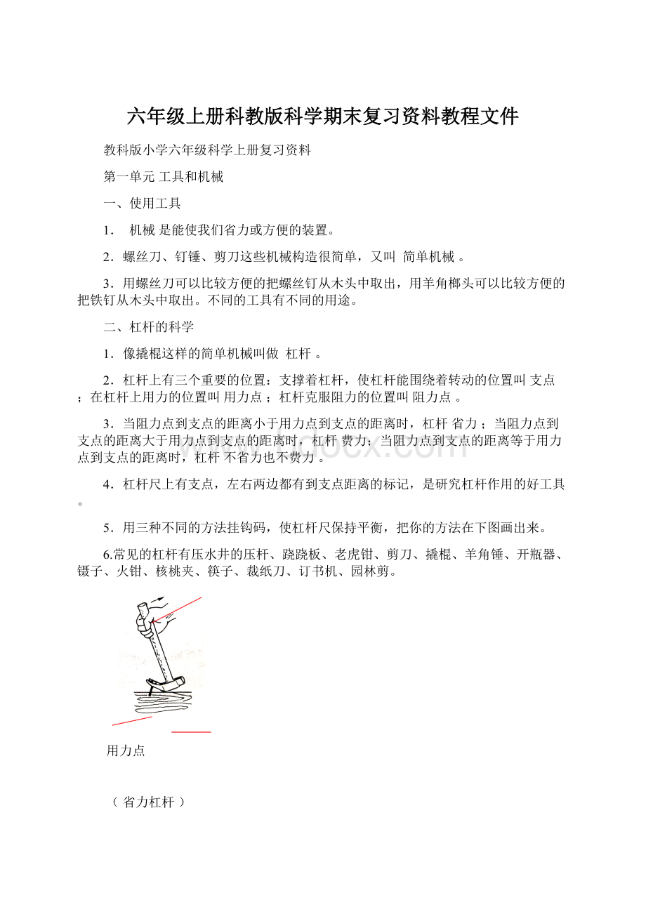 六年级上册科教版科学期末复习资料教程文件.docx