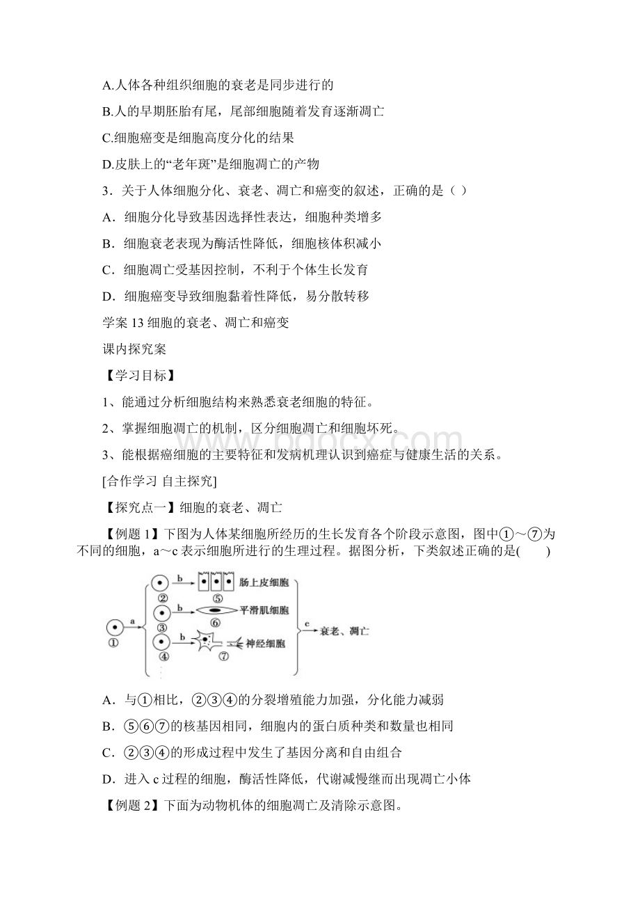 导与练届高三生物一轮复习学案第13讲 细胞的衰老凋亡和癌变Word文档格式.docx_第3页