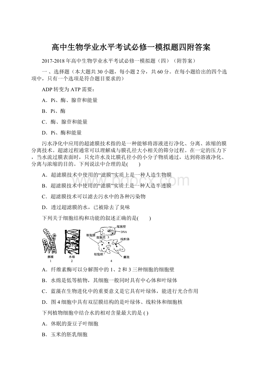 高中生物学业水平考试必修一模拟题四附答案Word文档格式.docx