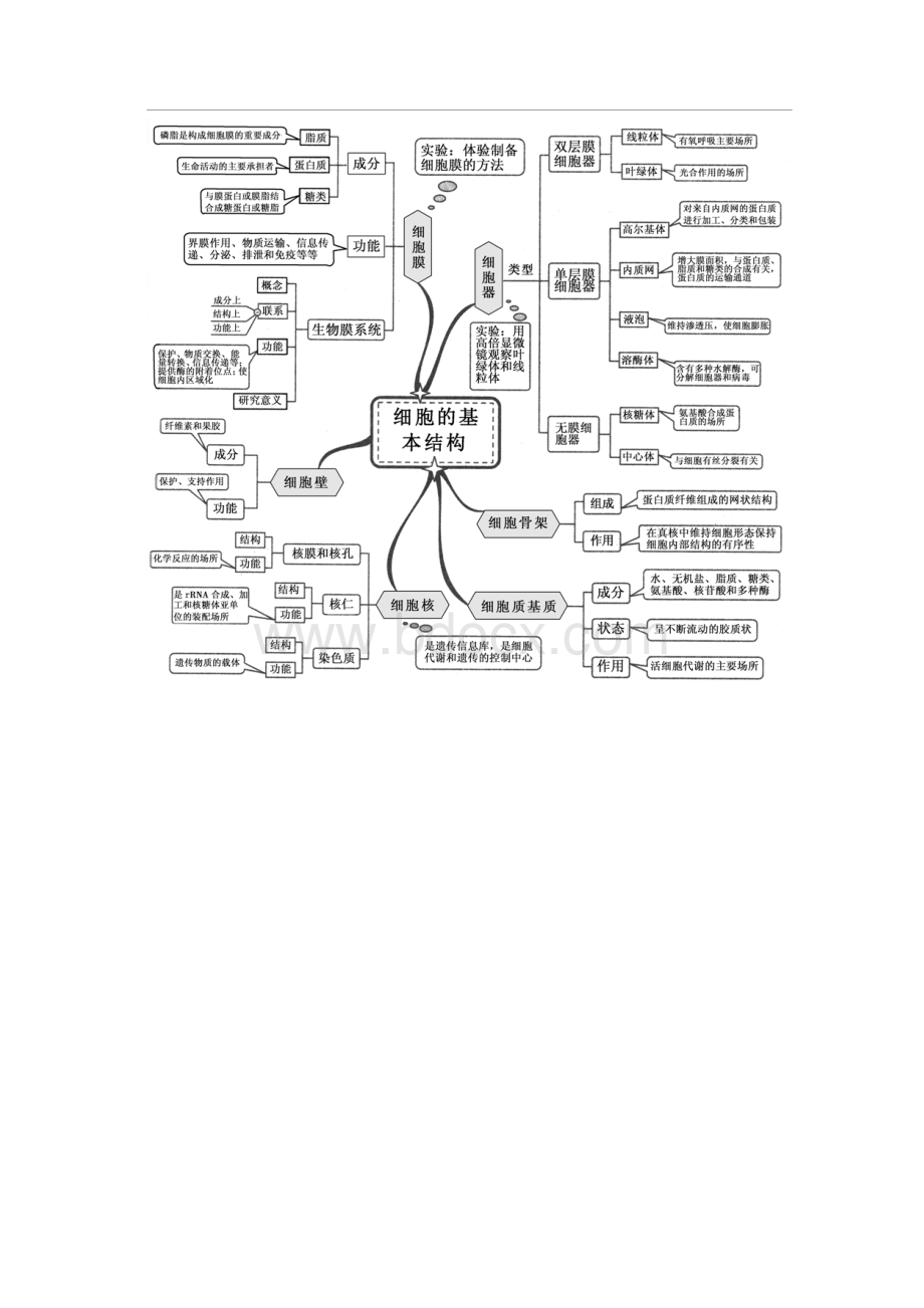 高中生物知识网络思维导图Word下载.docx_第2页