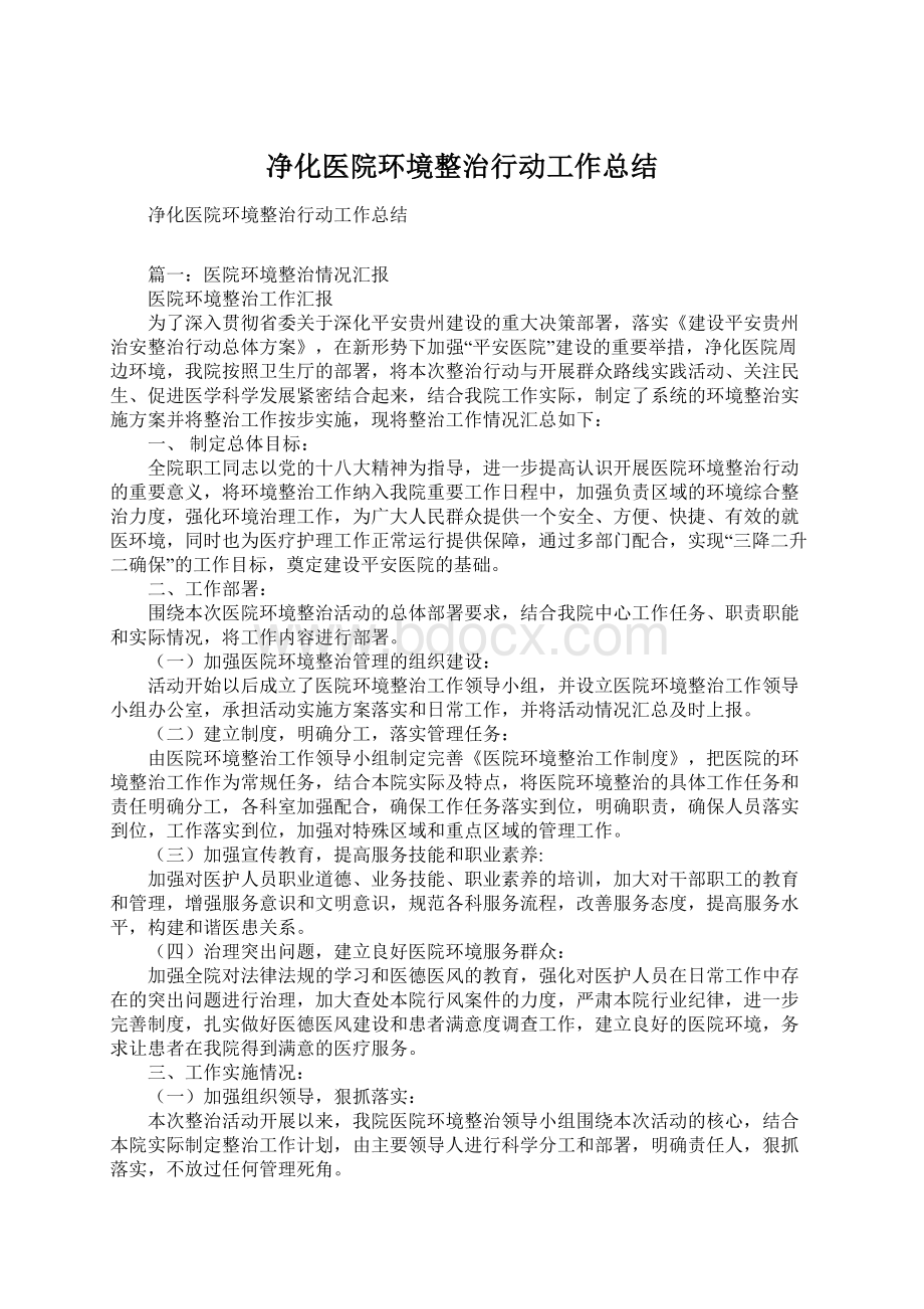 净化医院环境整治行动工作总结文档格式.docx