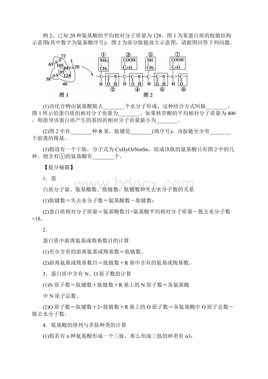 河北省清河挥公实验中学届高三生物一轮复习 专题 酸与蛋白质导学案.docx_第3页