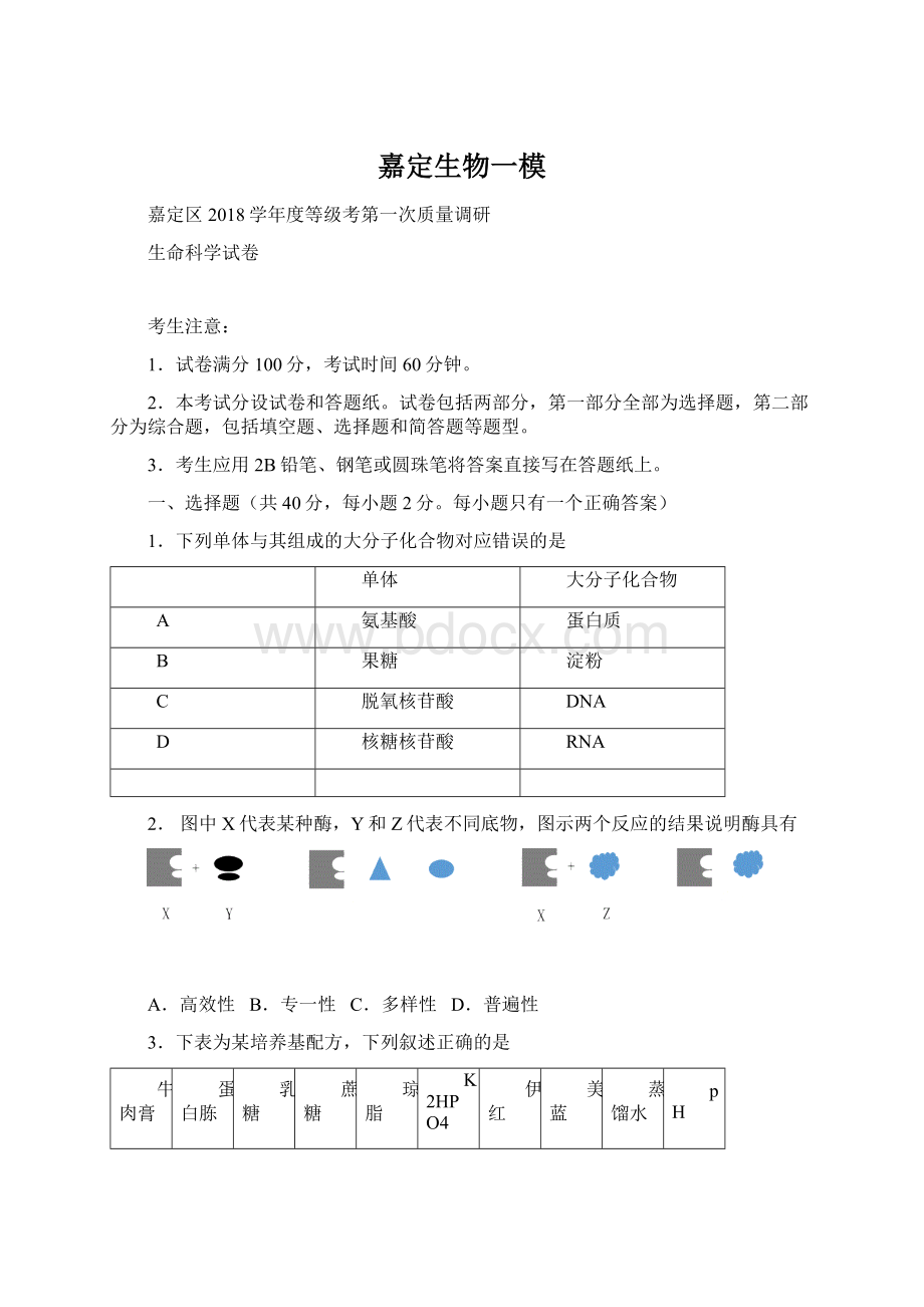 嘉定生物一模Word格式文档下载.docx_第1页