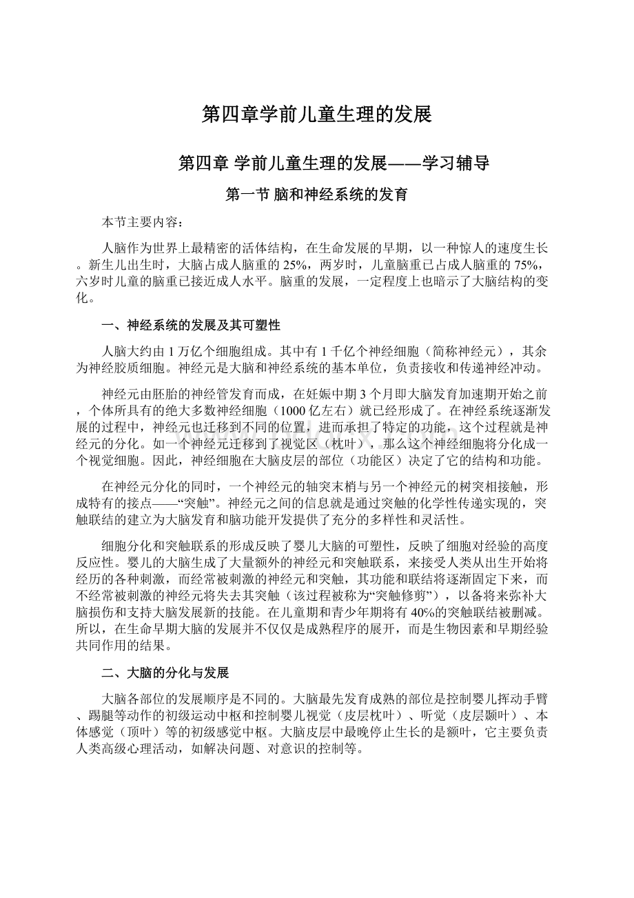 第四章学前儿童生理的发展文档格式.docx_第1页