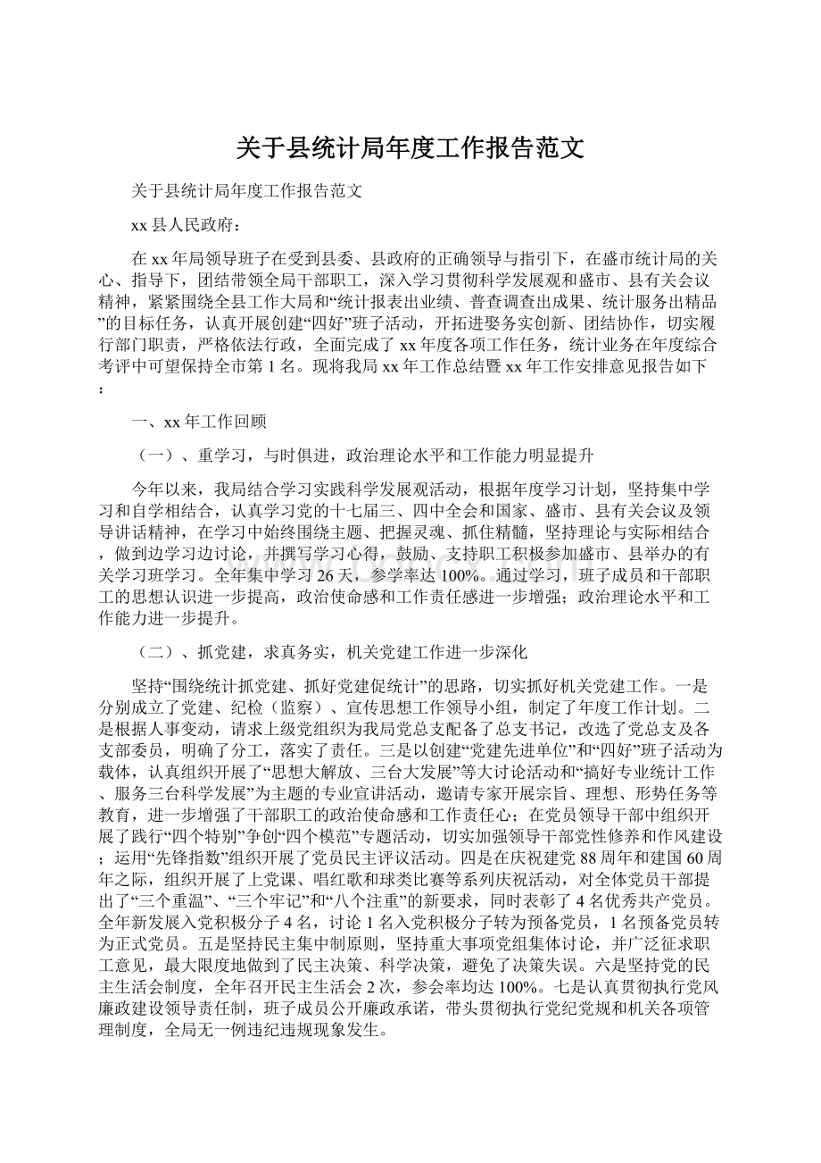 关于县统计局年度工作报告范文.docx_第1页