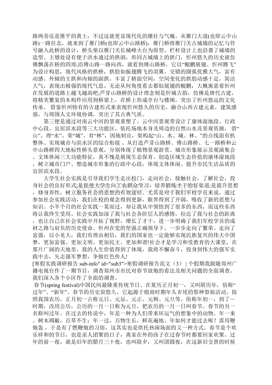 寒假调研报告范文4篇.docx_第3页