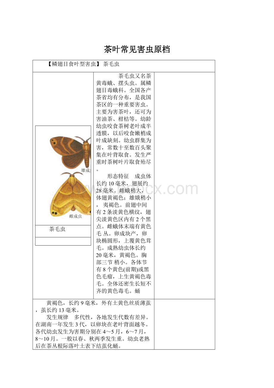 茶叶常见害虫原档Word文件下载.docx_第1页