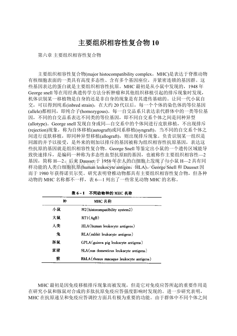 主要组织相容性复合物10Word格式文档下载.docx_第1页