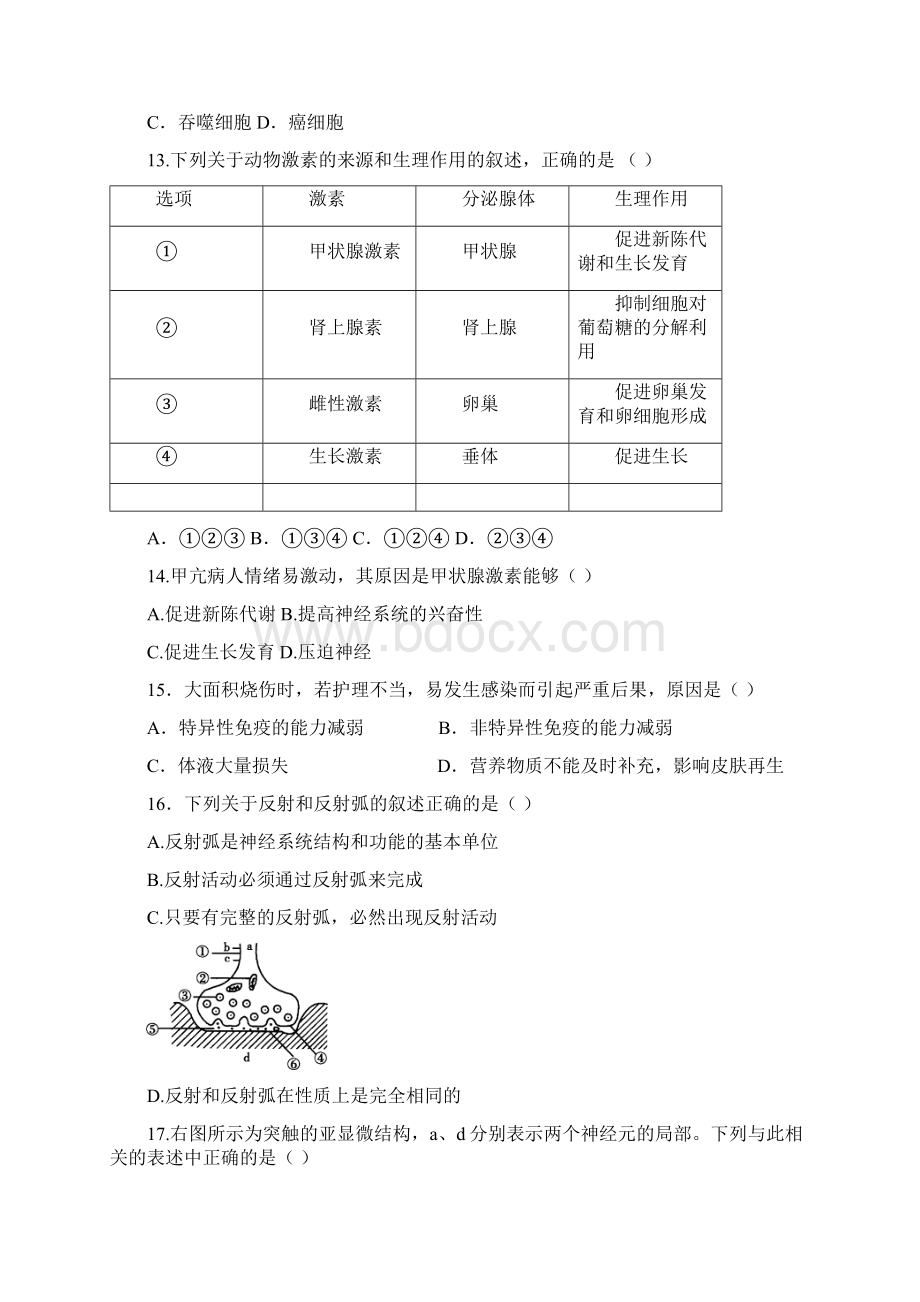 山东省泰安宁阳一中学年高一下学期期中考试生物试题Word文档格式.docx_第3页