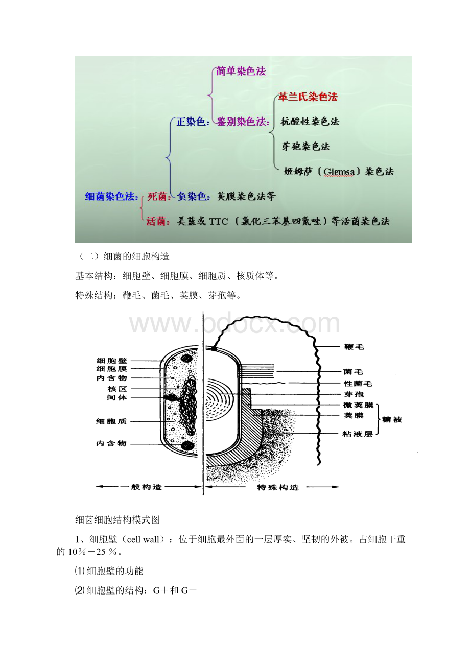 生物第一章.docx_第3页