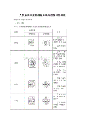 人教版高中生物细胞分裂专题复习答案版文档格式.docx