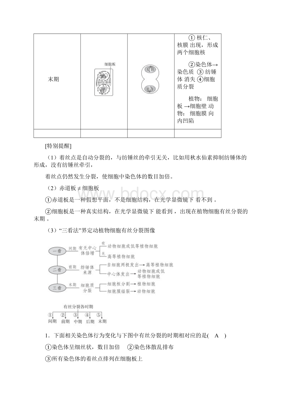 人教版高中生物细胞分裂专题复习答案版文档格式.docx_第2页