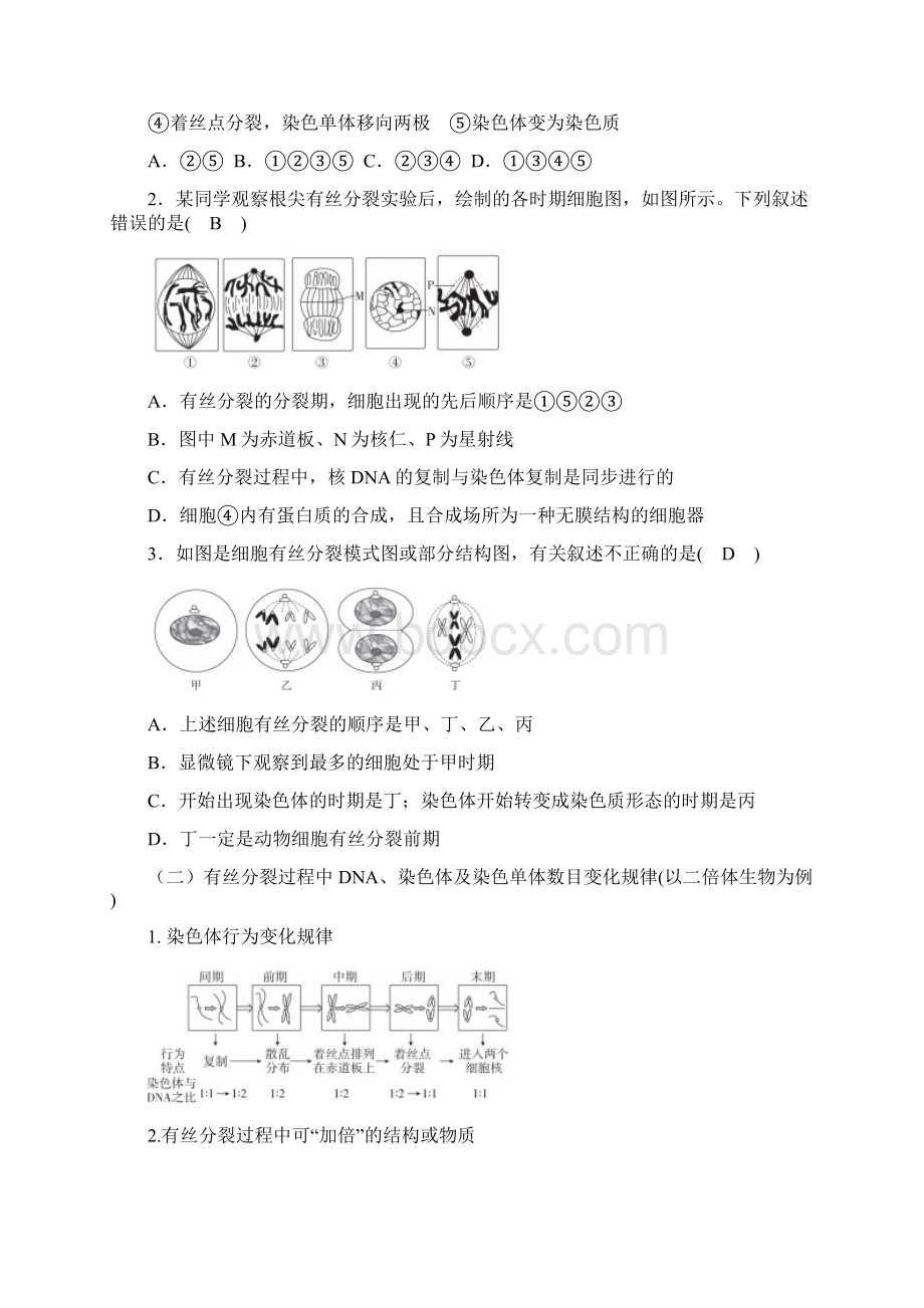 人教版高中生物细胞分裂专题复习答案版文档格式.docx_第3页