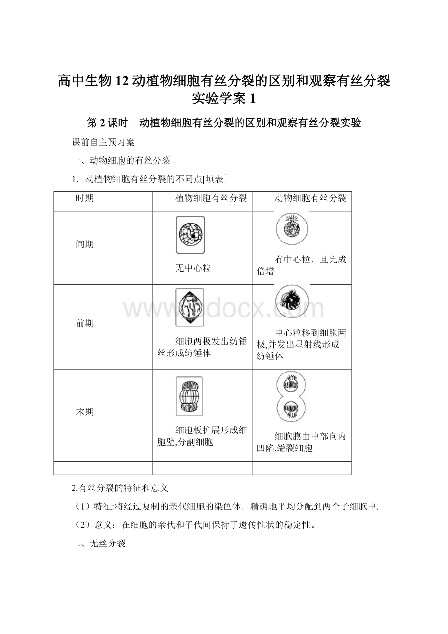 高中生物 12 动植物细胞有丝分裂的区别和观察有丝分裂实验学案 1Word文档格式.docx_第1页