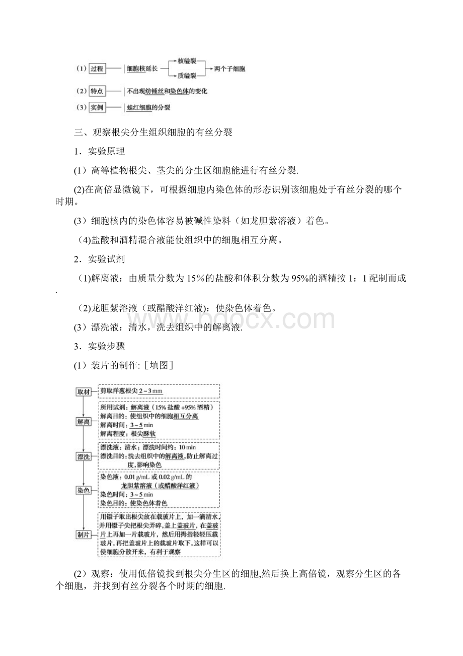 高中生物 12 动植物细胞有丝分裂的区别和观察有丝分裂实验学案 1Word文档格式.docx_第2页