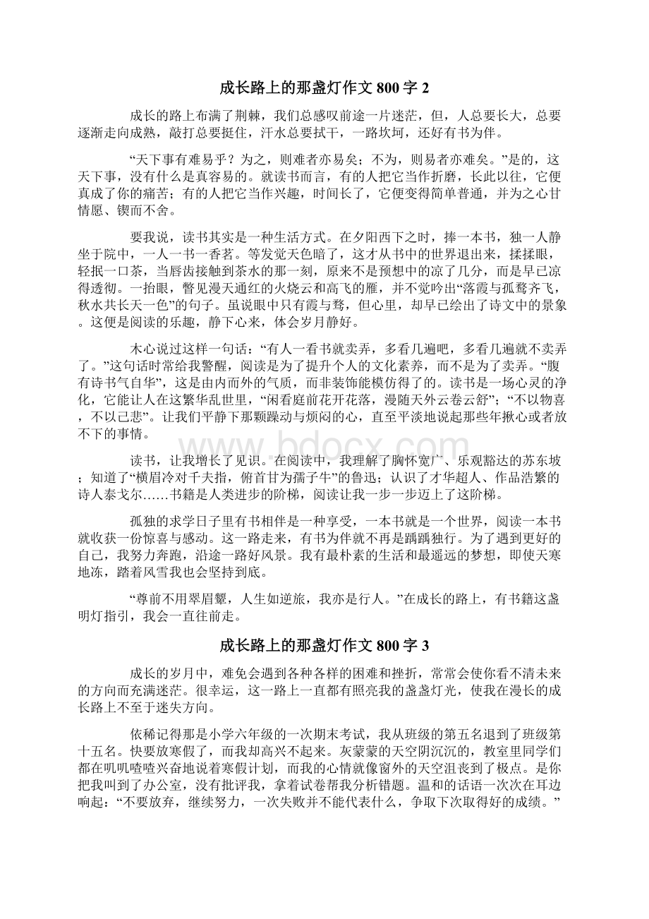 关于成长路上的那盏灯作文800字通用6篇Word下载.docx_第2页