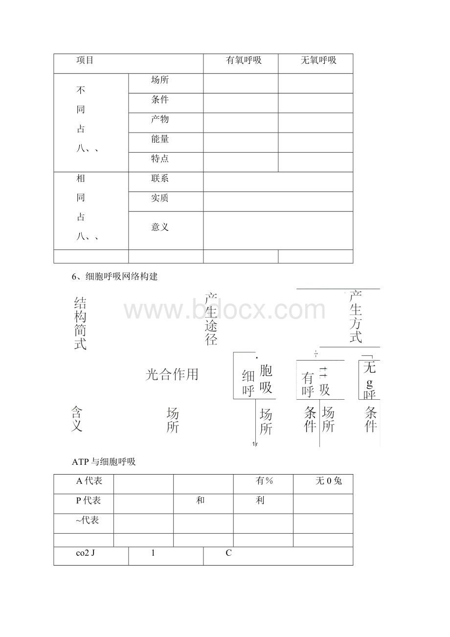 光合作用与呼吸作用专题复习.docx_第3页