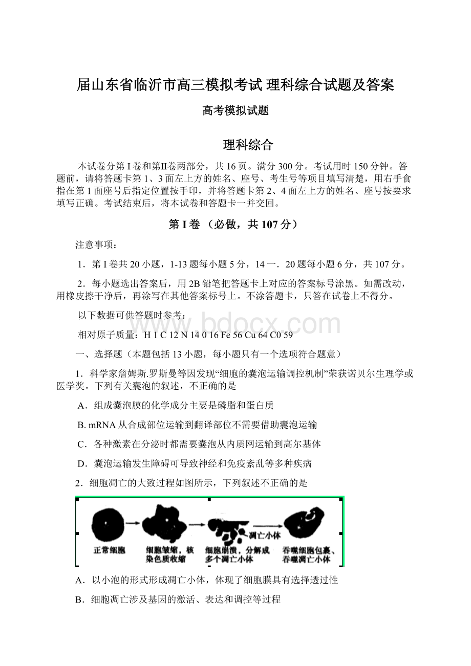 届山东省临沂市高三模拟考试 理科综合试题及答案Word文档下载推荐.docx_第1页