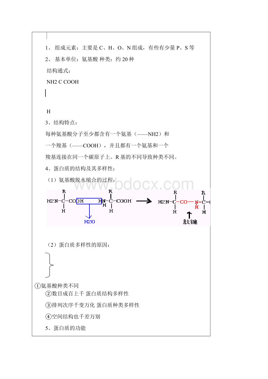 人教版教学教案生命活动的主要承担者蛋白质 教案.docx_第2页