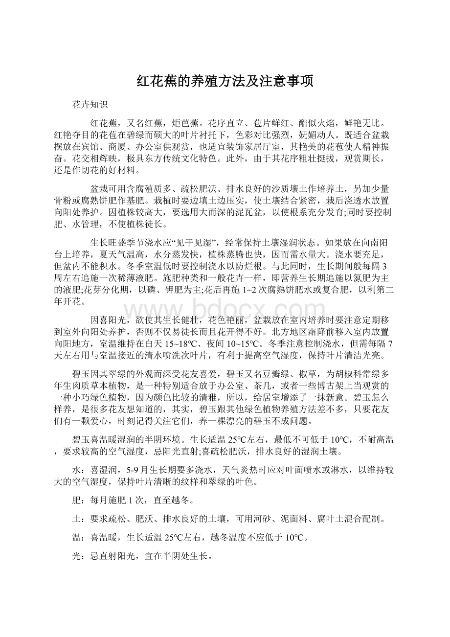 红花蕉的养殖方法及注意事项Word文档下载推荐.docx