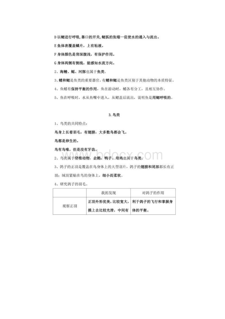 苏教版科学四年级上册知识点 复习梳理Word文档下载推荐.docx_第3页