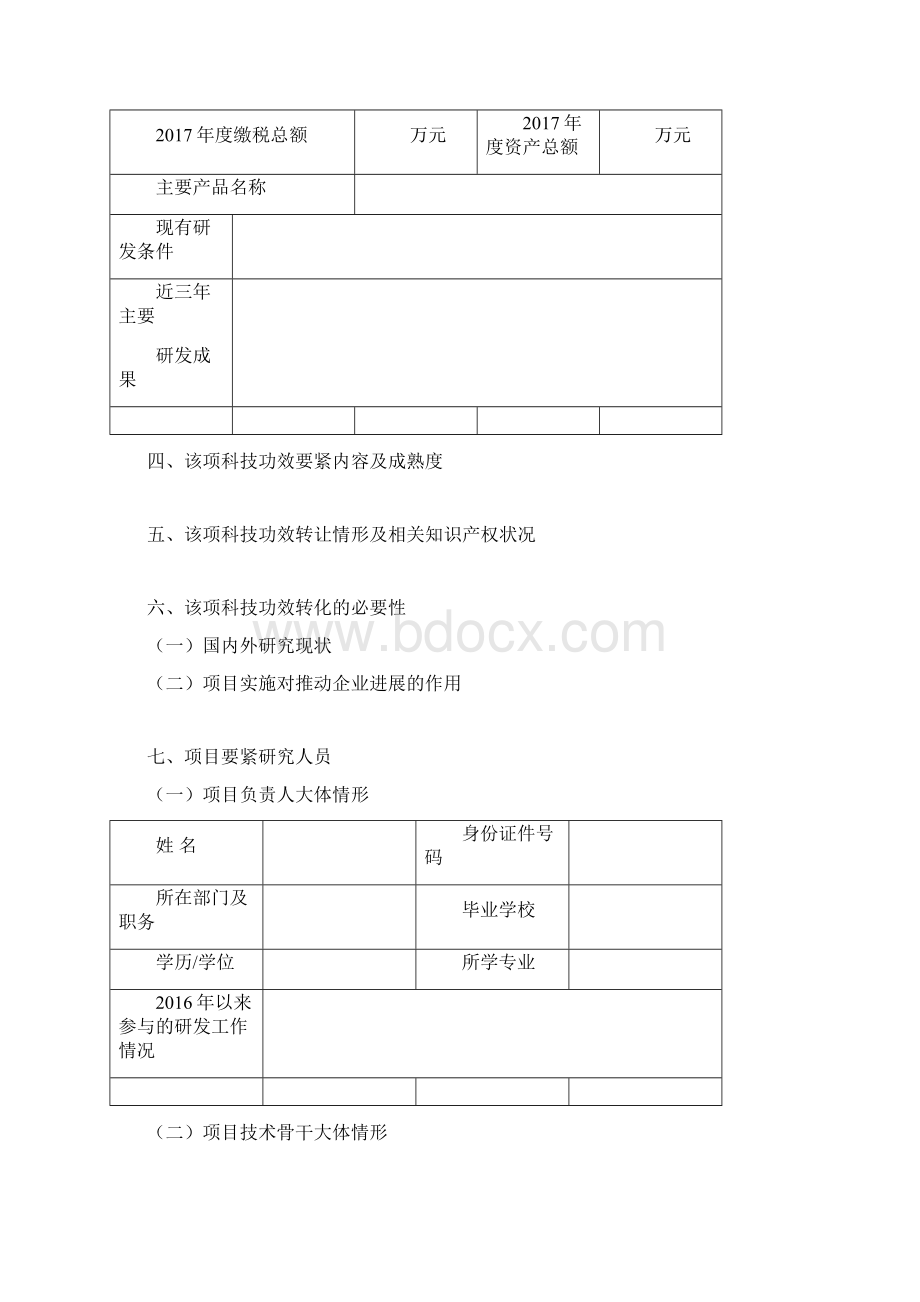 武汉科技功效转化项目.docx_第3页