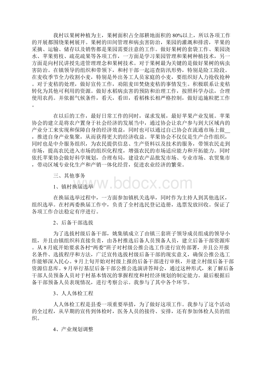 农村个人述职报告三篇.docx_第2页