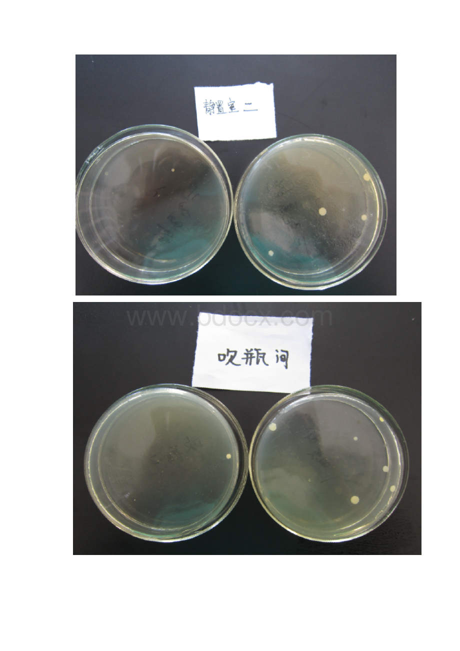 车间空气微生物检测报告.docx_第2页