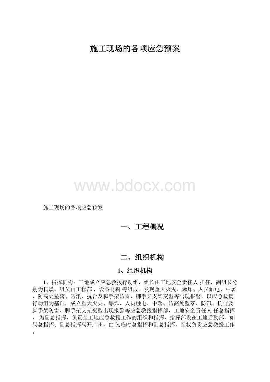 施工现场的各项应急预案.docx