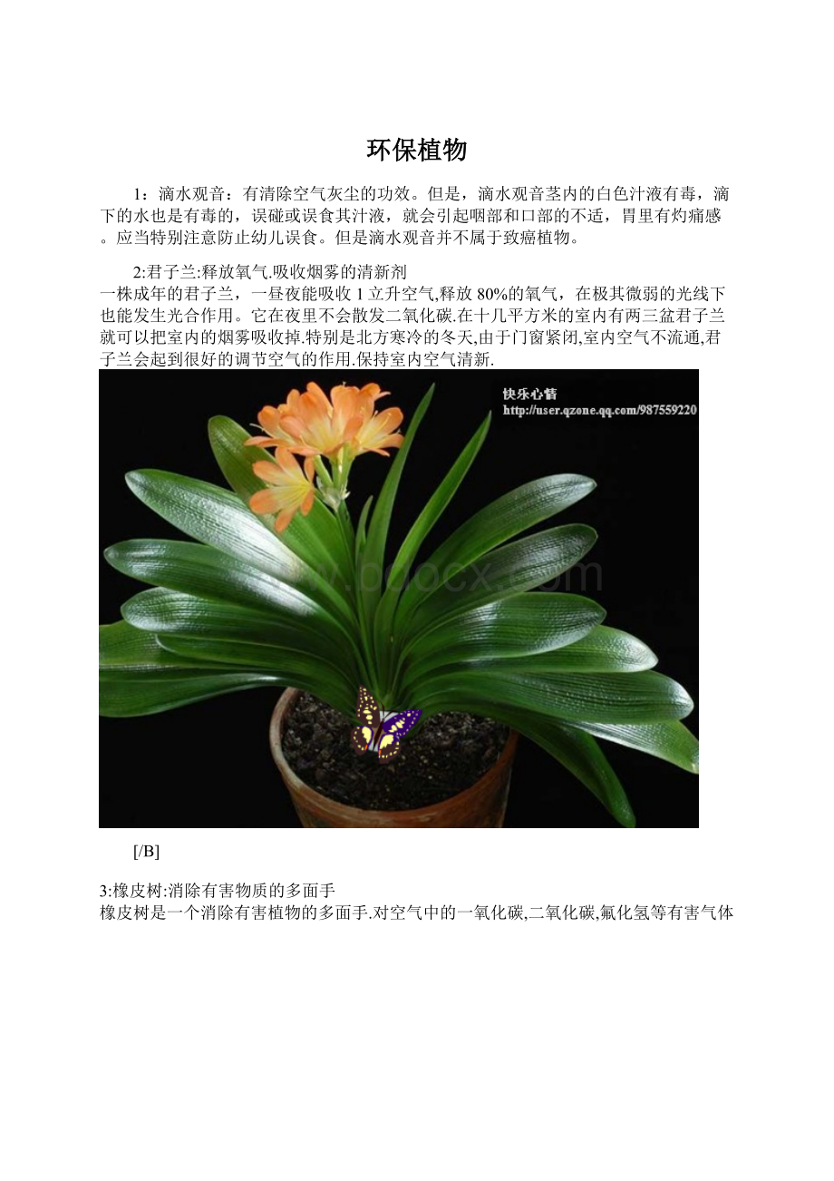 环保植物Word格式.docx