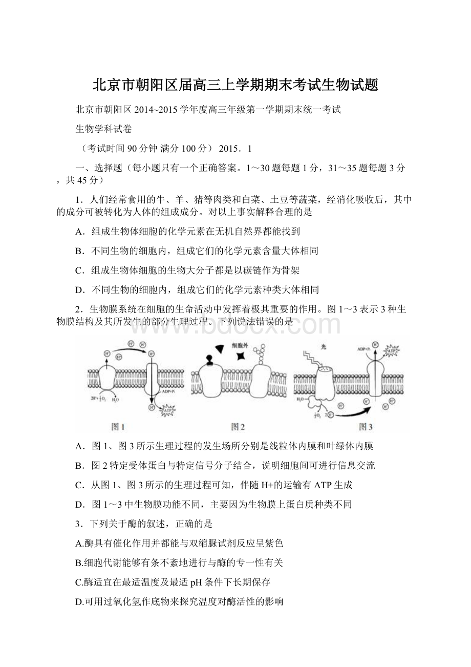 北京市朝阳区届高三上学期期末考试生物试题.docx