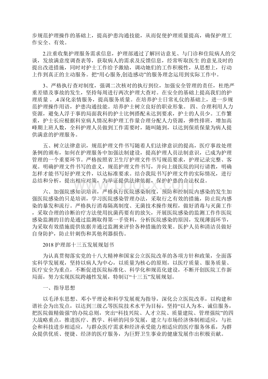 护理部个人工作计划与护理部十三五发展规划书汇编docWord格式文档下载.docx_第2页