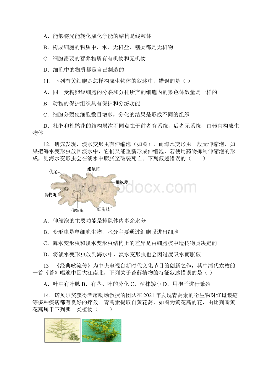 湖南省长沙市长郡教育集团初中课程中心七年级上学期期末考试生物试题.docx_第3页