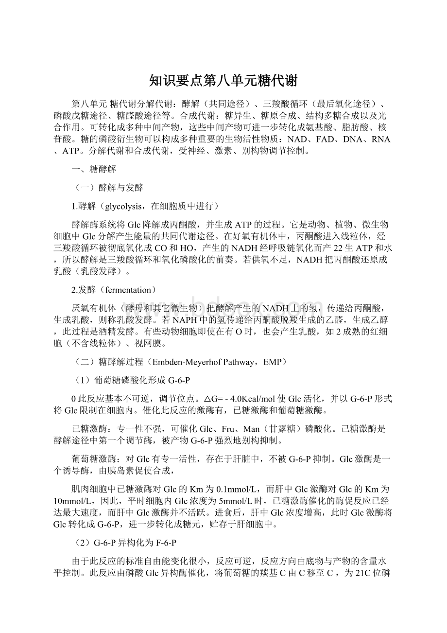 知识要点第八单元糖代谢.docx