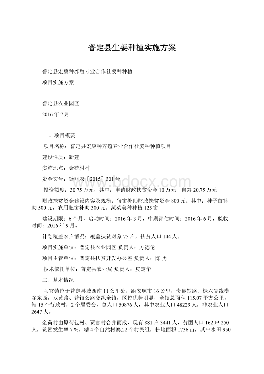 普定县生姜种植实施方案.docx