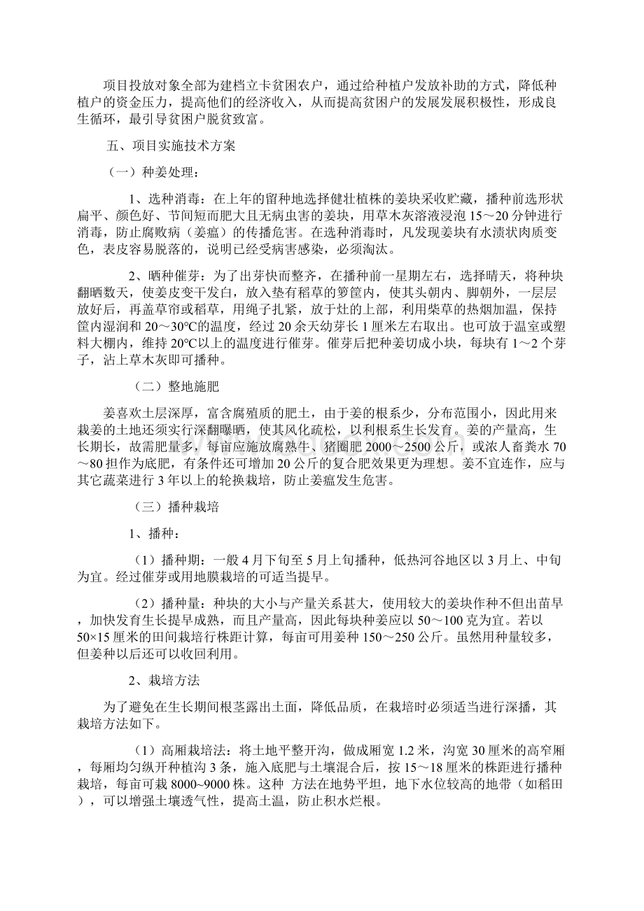 普定县生姜种植实施方案Word格式.docx_第3页