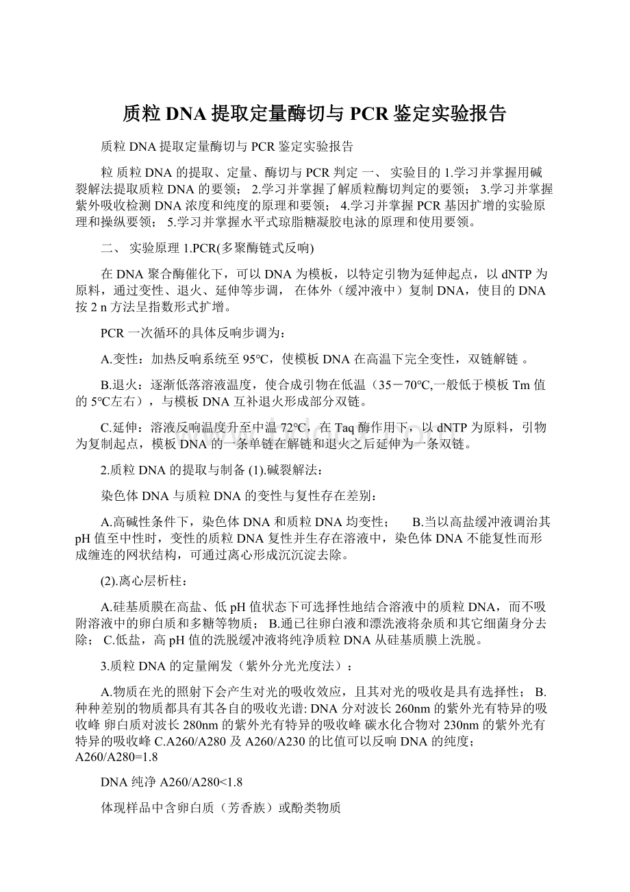 质粒DNA提取定量酶切与PCR鉴定实验报告Word下载.docx_第1页