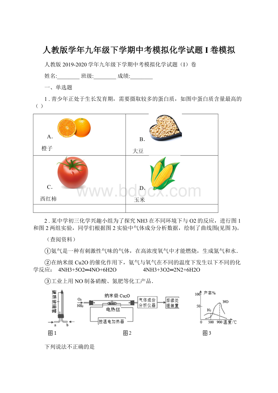 人教版学年九年级下学期中考模拟化学试题I卷模拟.docx